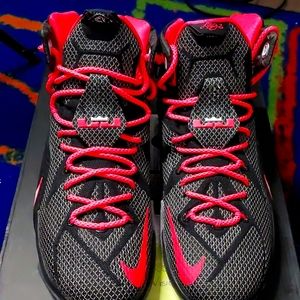 Lebron Xll court visio